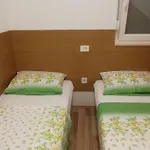 Apartment Darko *