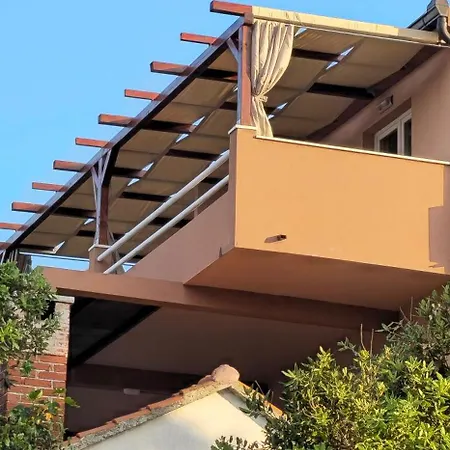 Darko * Рогозница