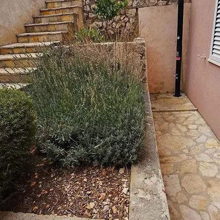 Darko Rogoznica (Sibenik-Knin)