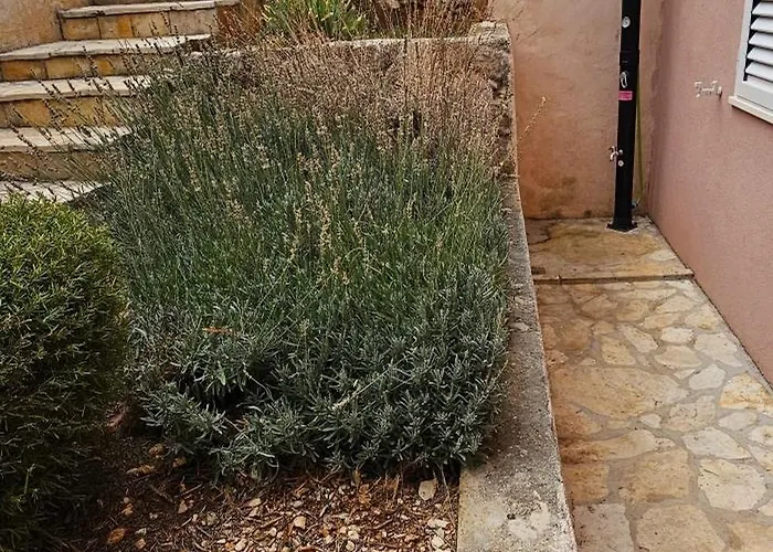 Darko Rogoznica (Sibenik-Knin)